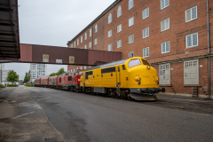 SMM_6035