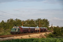 SMM_7962