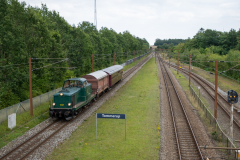 SMM_8219