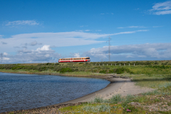 SMM_5313