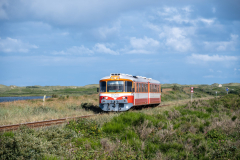 SMM_5341