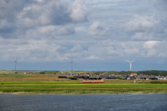 SMM_5354