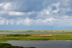 SMM_5364