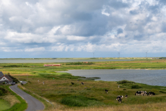 SMM_5372