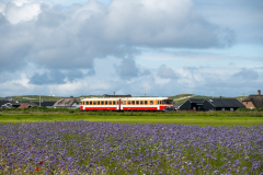 SMM_5425