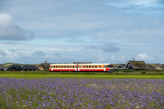 SMM_5429