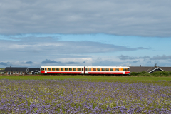 SMM_5440