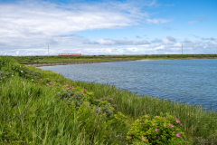 SMM_5485
