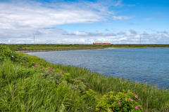 SMM_5491