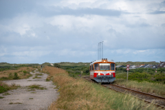 SMM_5517