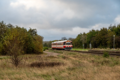 SMM_4956