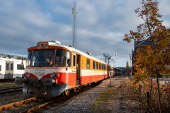 SMM_4980