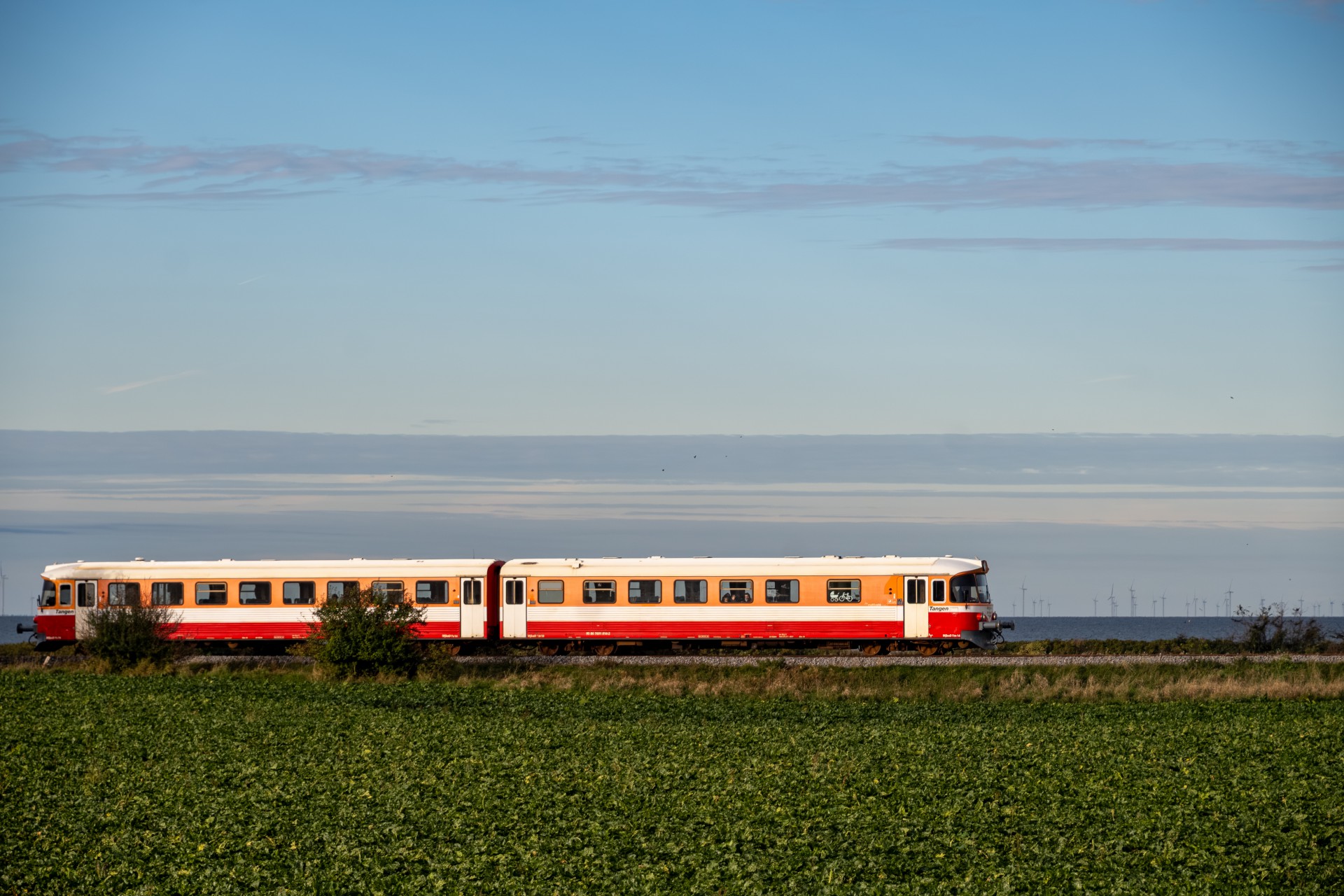 SMM_9351