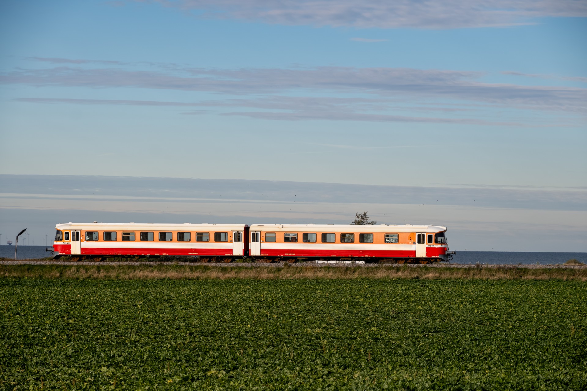 SMM_9354