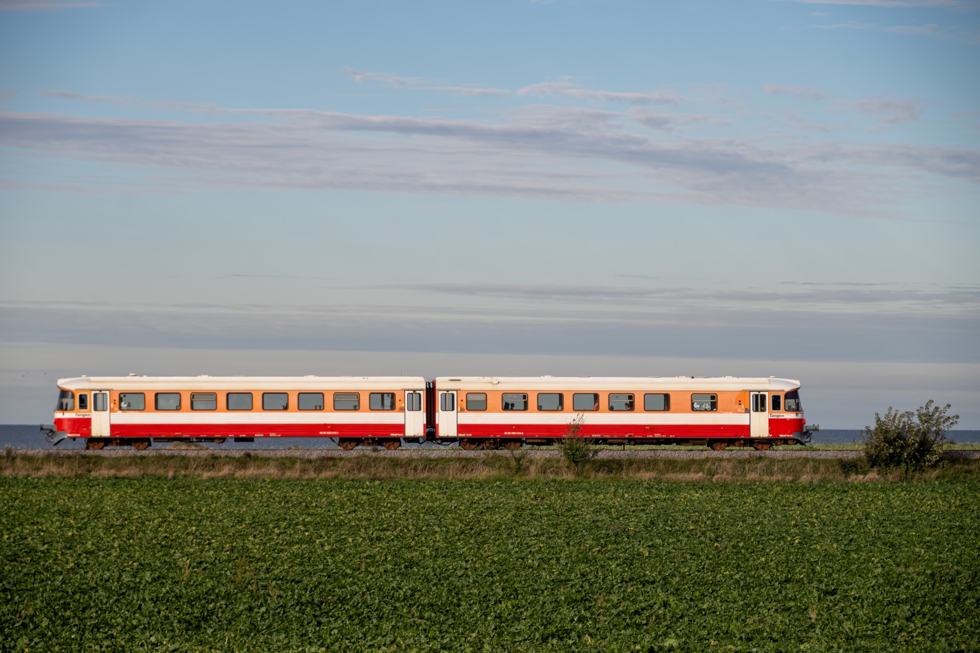 SMM_9358