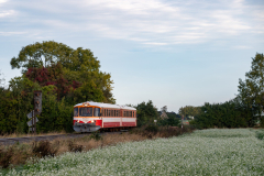 SMM_9325