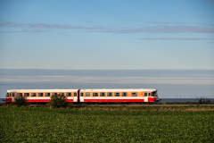 SMM_9351