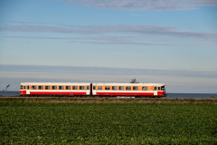 SMM_9354