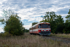 SMM_9383