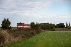 SMM_9456