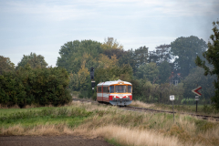 SMM_9466
