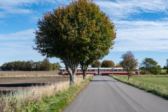 SMM_9529