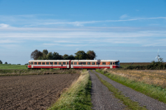 SMM_9549