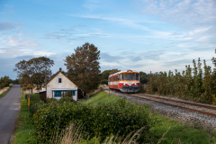 SMM_9767