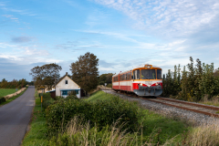 SMM_9771