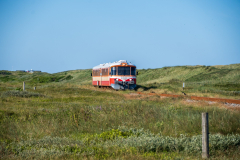 SMM_0491