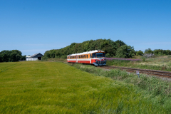 SMM_0591