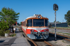 SMM_6286