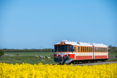 SMM_6377