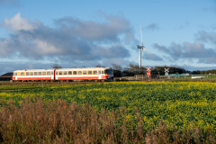 SMM_4859