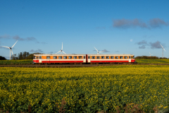 SMM_4872