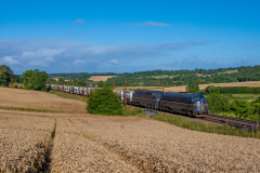 SMM_5442